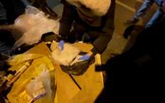 В Пензенской области остановили машину, везшую 2 кг синтетического наркотика