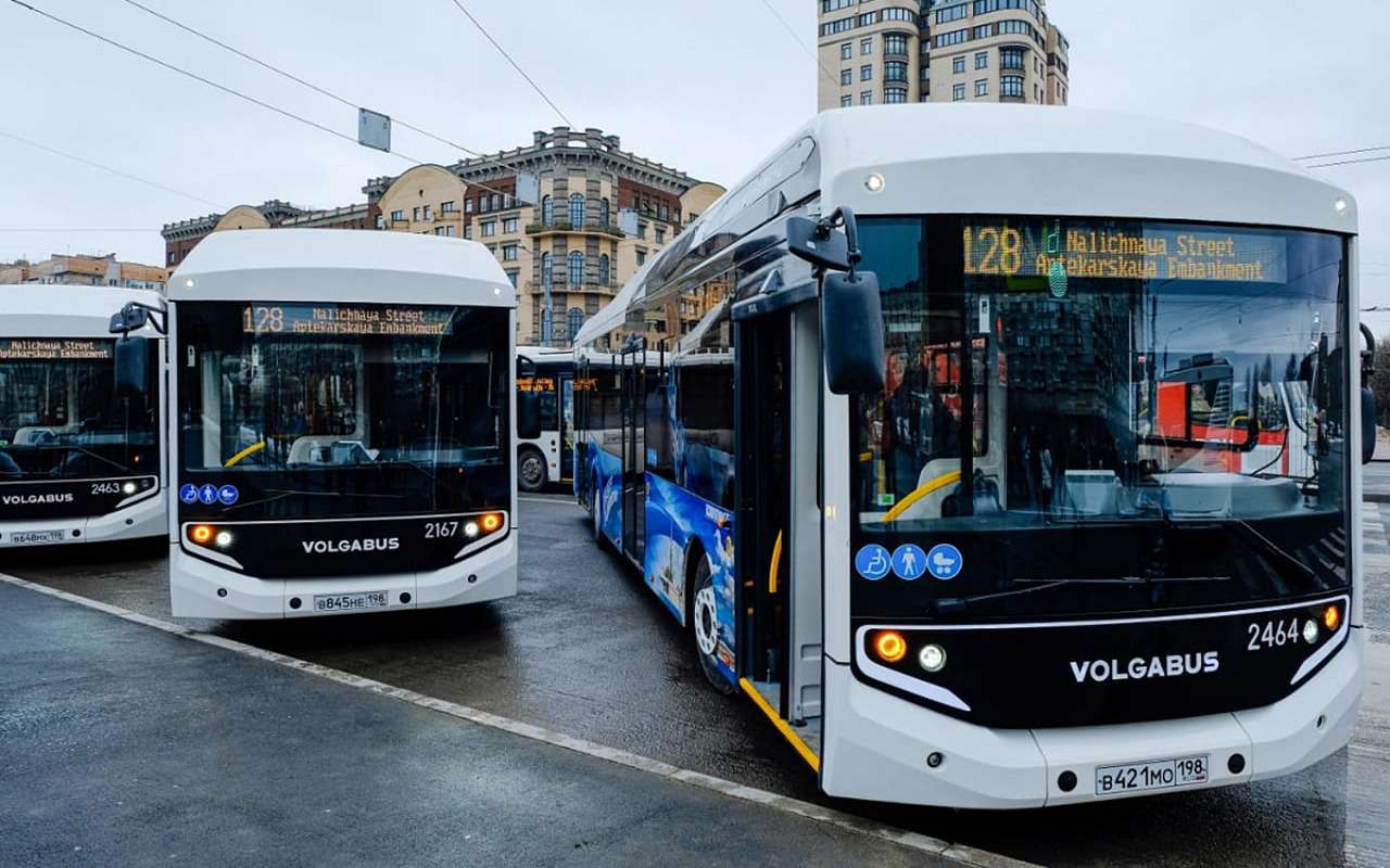 Власти Липецка купили 10 новых автобусов по цене одной Гранты