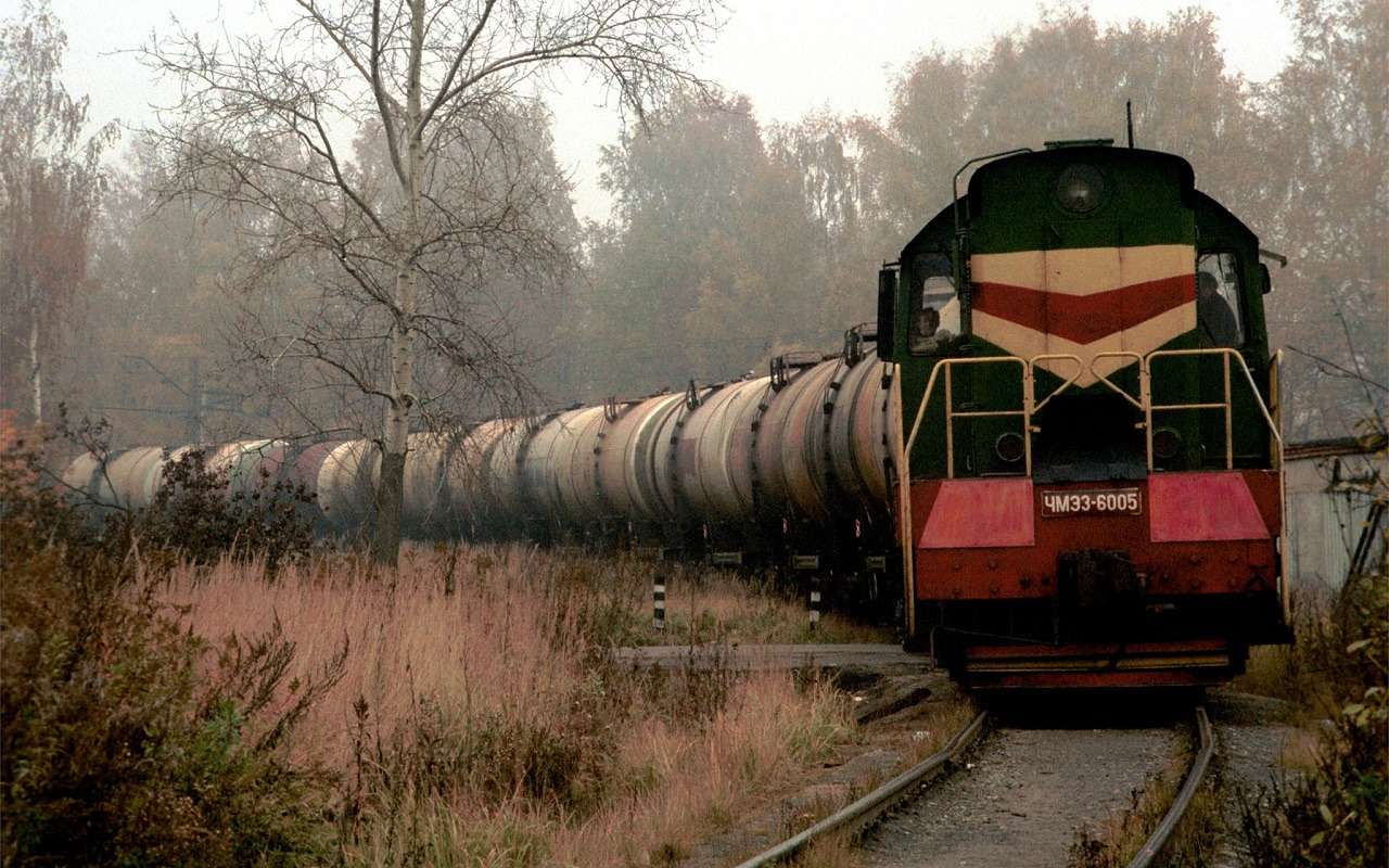 Частые поломки локомотивов в России объяснили их износом из-за возраста