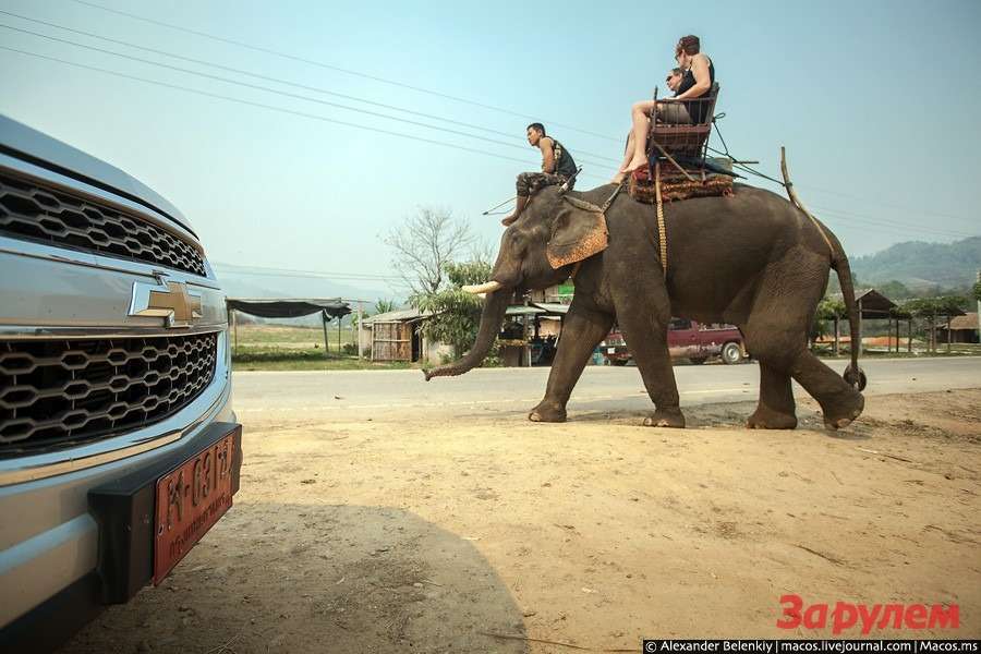 Таиланд: слоновий тест-драйв
