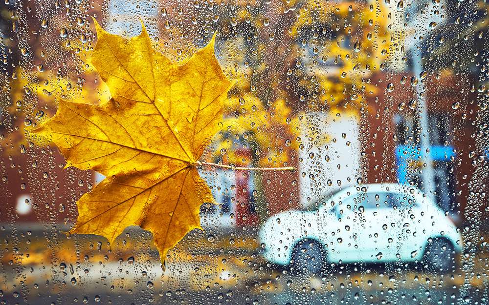 11 факторов, о которых водителю надо помнить осенью