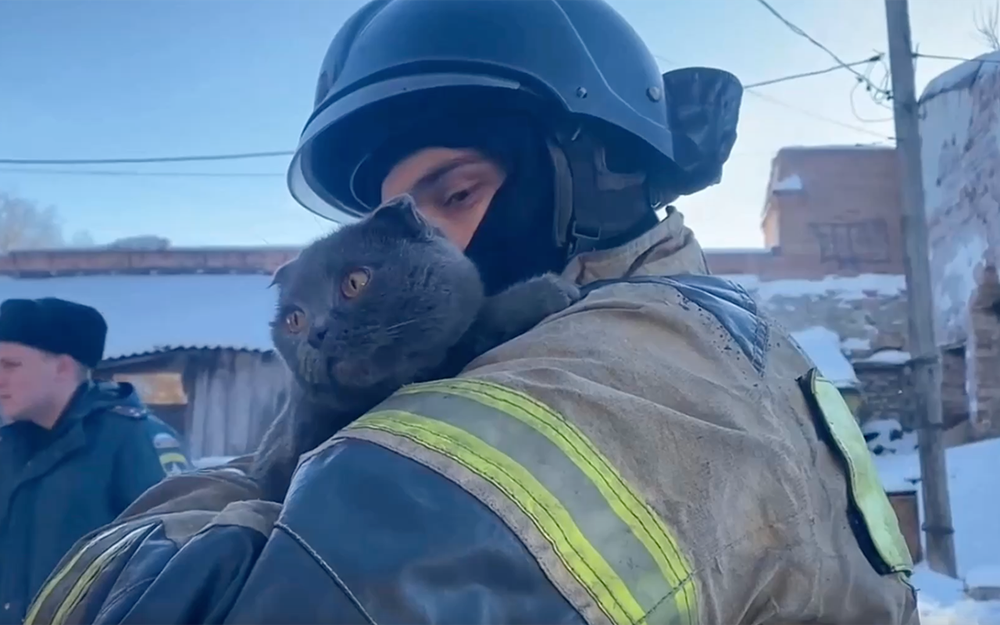 В Челябинской области пожарные спасли кота из огня (видео)