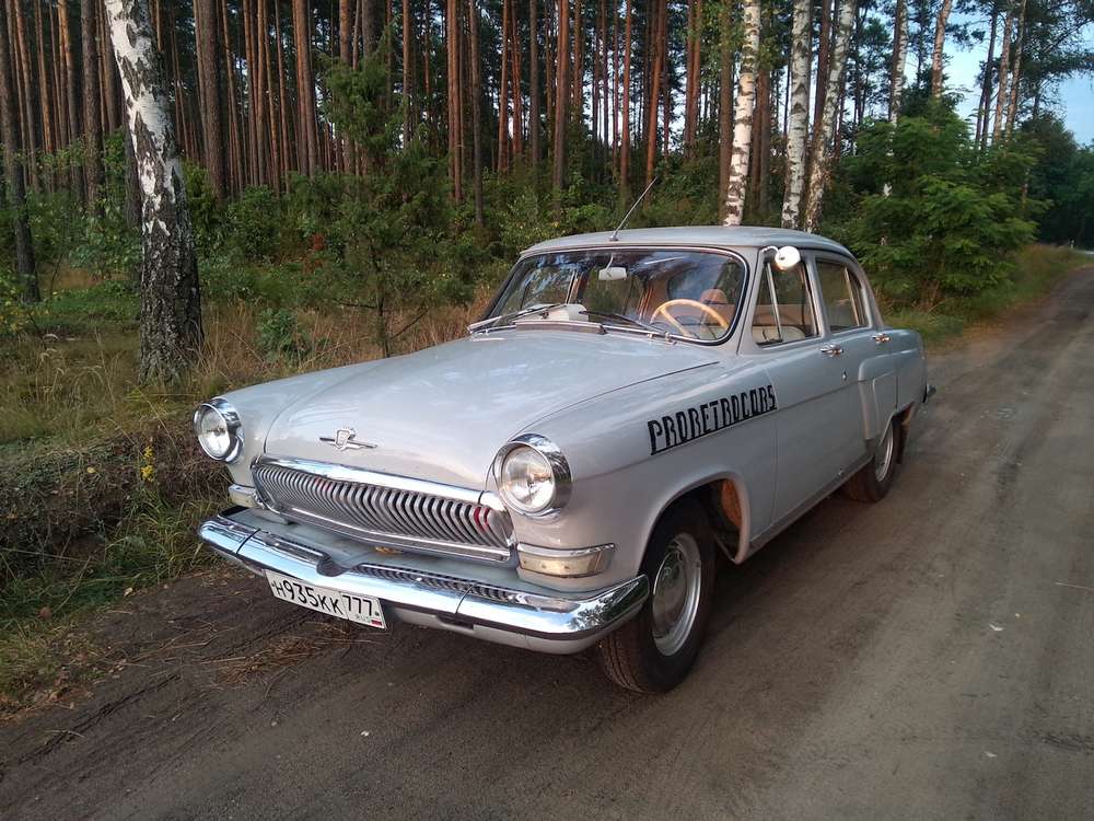 Герой путешествия - «Волга» ГАЗ-21 1964 года выпуска в черничных лесах после границы Белоруссии с Польшей