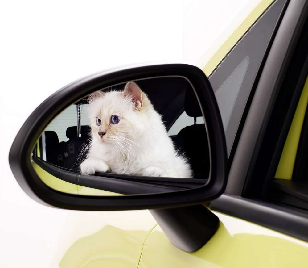 Новую Opel Corsa доверили рекламировать кошке 