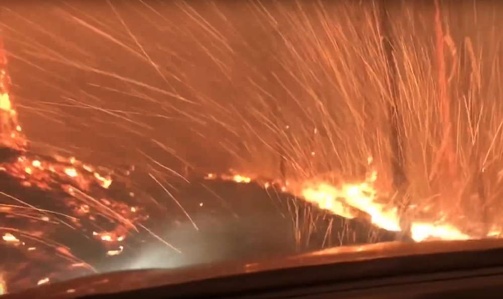 Отец и сын сняли на видео бегство из горящего леса на машине