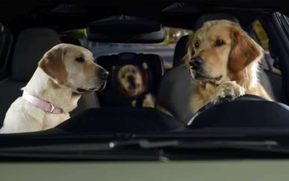 Собачья реклама машин - 6 забавных видео