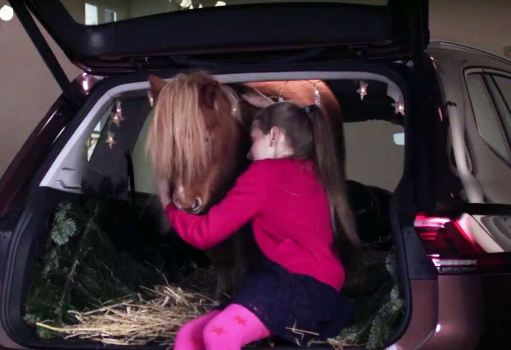 Рождественский пони спрятался в багажнике...Тигуана!