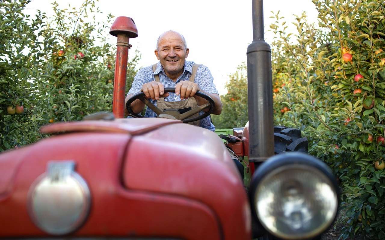Эти мини-тракторы помогут в благоустройстве вашего загородного участка