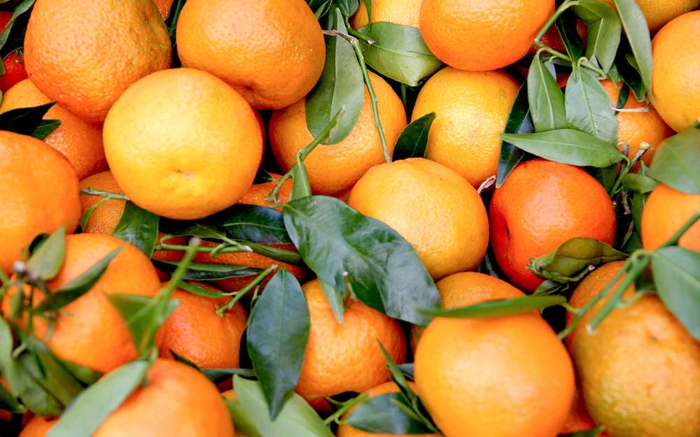 Оранжевое ДТП: по дороге рассыпались тысячи мандаринов