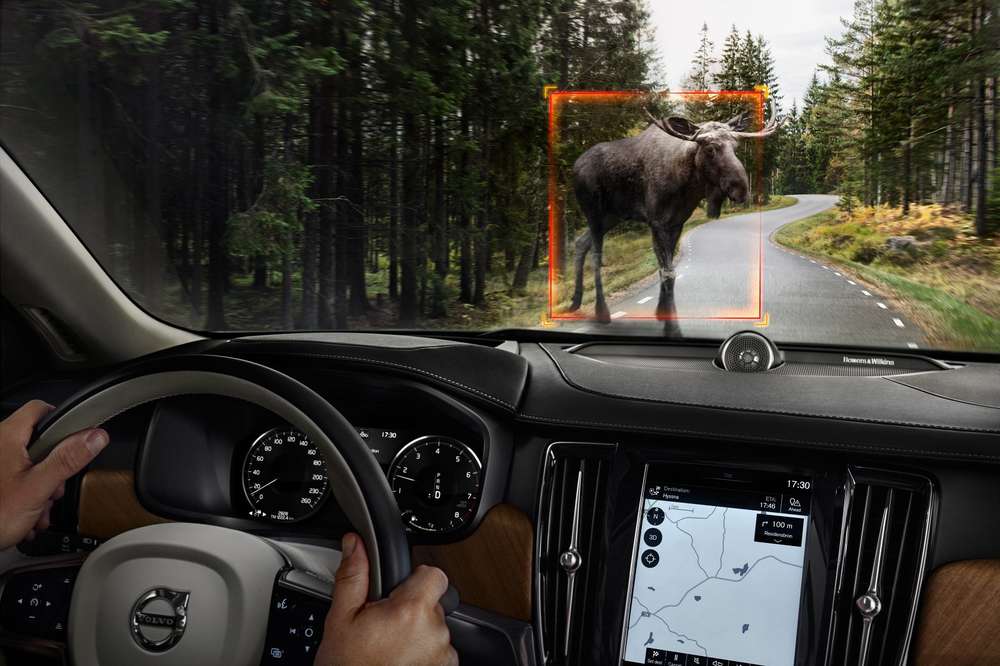 Свидание с лосями отменяется: Volvo внедряет систему обнаружения животных