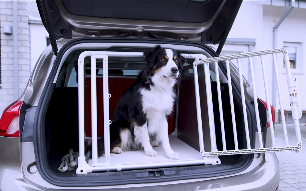 Форд разработал удобную клетку для собак. В багажнике!