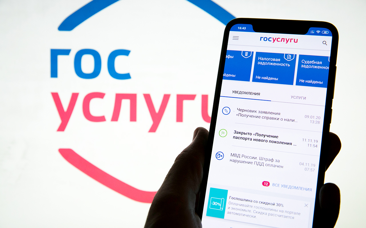 займы через госуслуги без фото